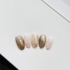 5月限定デザイン